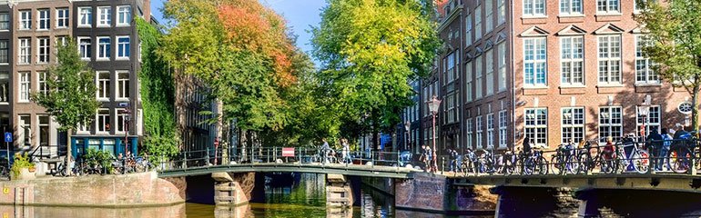 study-in-netherlands
